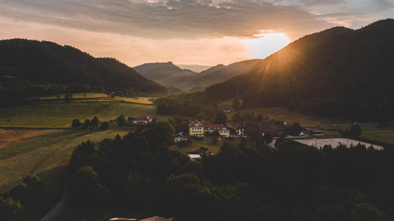 Hotel Dienstl Gut Launsdorf Buitenkant foto